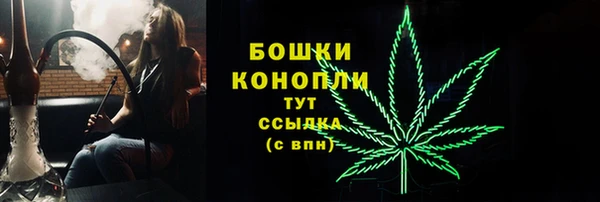 гидра Алексеевка