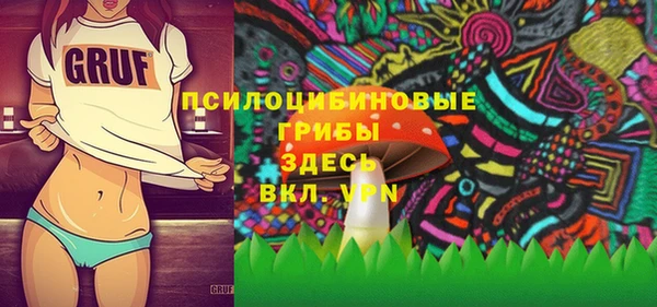 гидра Алексеевка