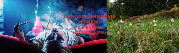 гидра Алексеевка